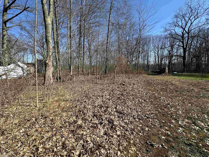 Property Photo: 0 Woodland Ln Lane MI 48054-0000