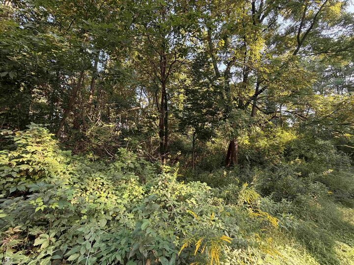Property Photo:  0 Woodland Ln Lane  MI 48054-0000 