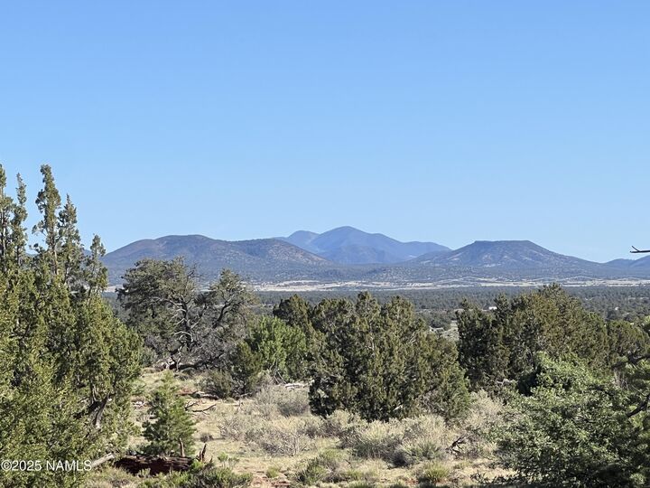 Property Photo:  8755 S Rim Ranch Road  AZ 86046 
