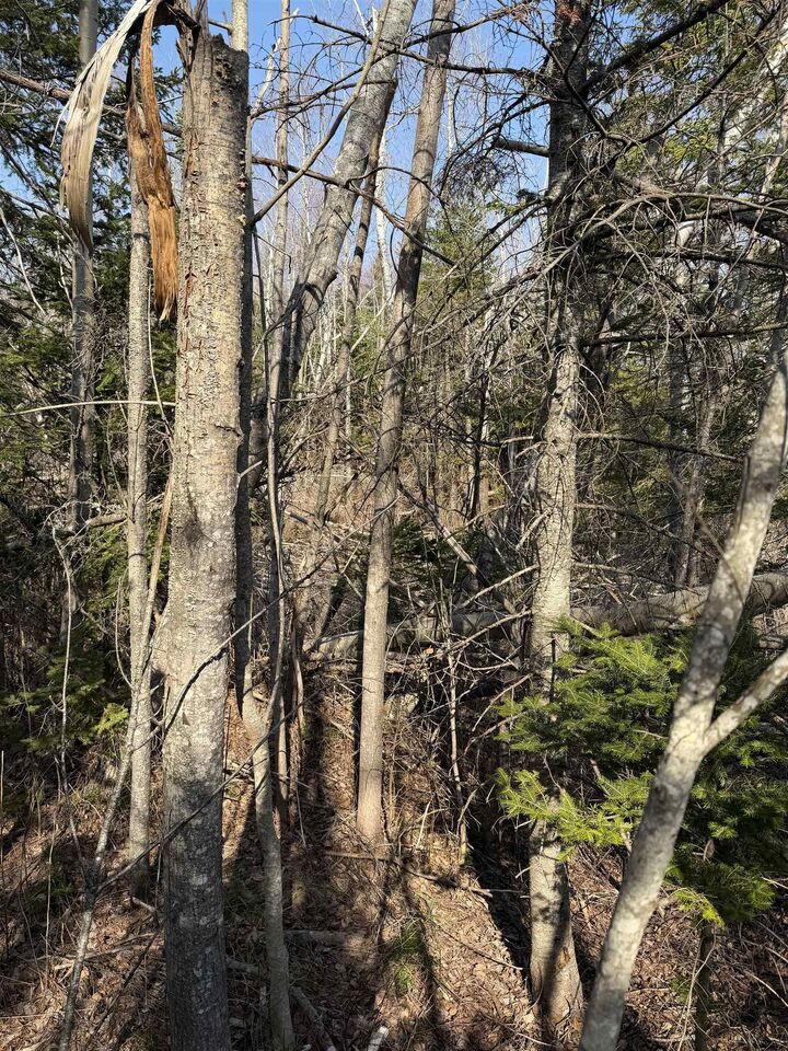 Property Photo:  Lot C Alma Road  NS B0K 2A0 
