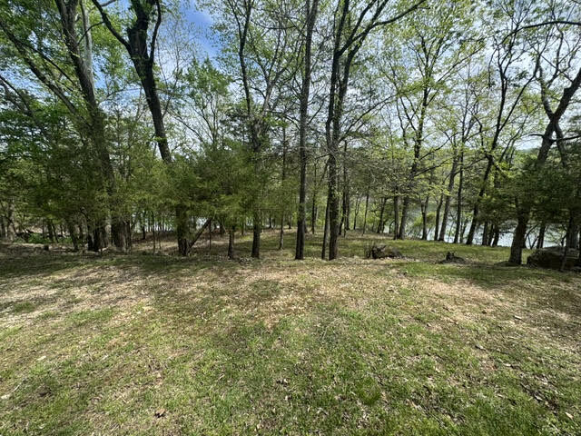 Property Photo:  43 Sailboat Drive  AR 72631 