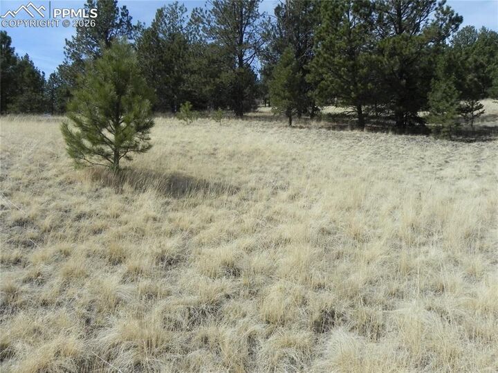 Property Photo:  1058 Monarch Drive  CO 80813 