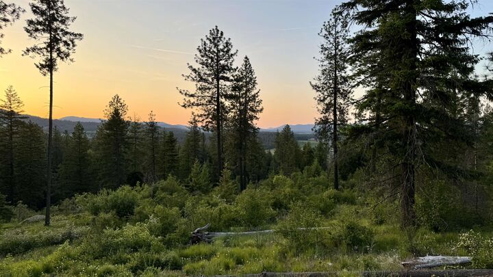 Property Photo: S Swenson Rd WA 99006