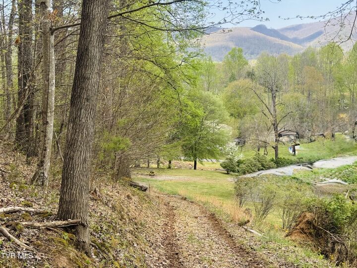 Property Photo: 160 Bob S Hollow Road TN 37643