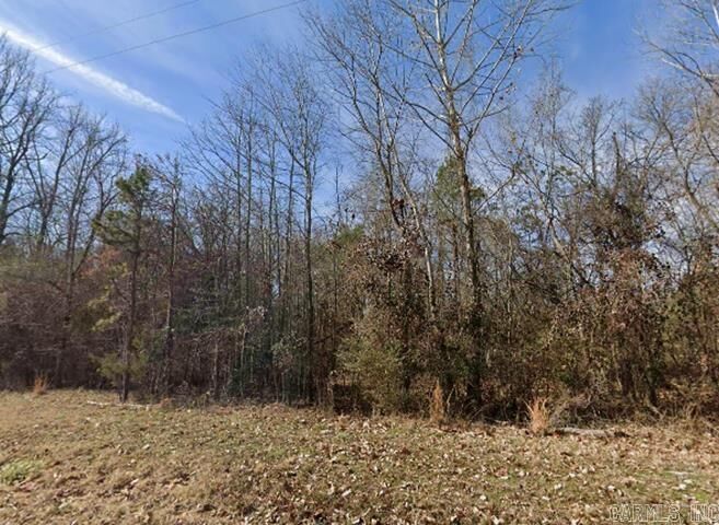 Property Photo: Unk Bay Ridge Drive AR 72834