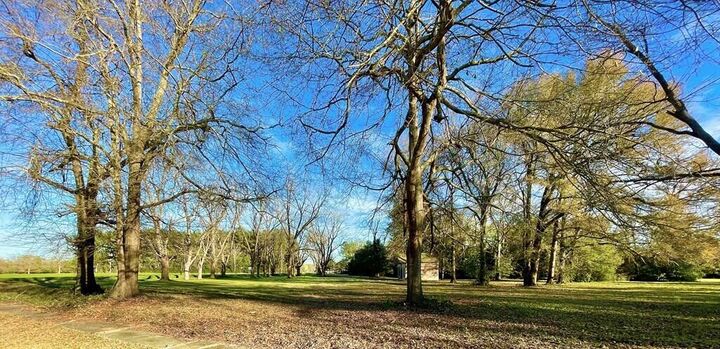 Property Photo:  00 Brodie Street  SC 29146 