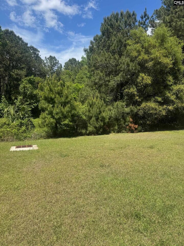 Property Photo:  724 Sinker  SC 29142 