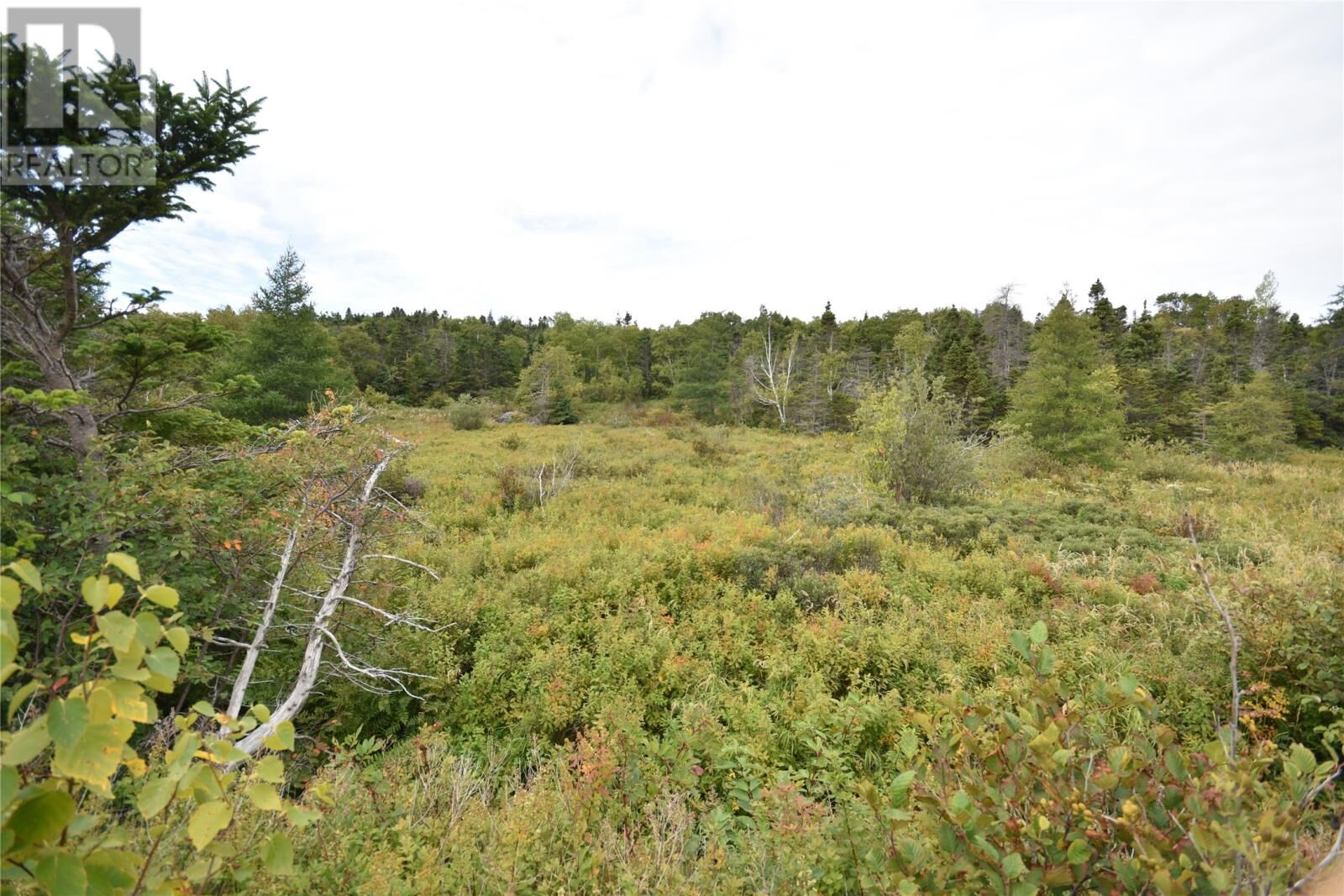 Property Photo:  308-310 Anchorage Road  NL A1W 4W3 