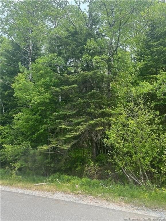Property Photo:  430 Bradley Lake Road  NB E2S 2W9 