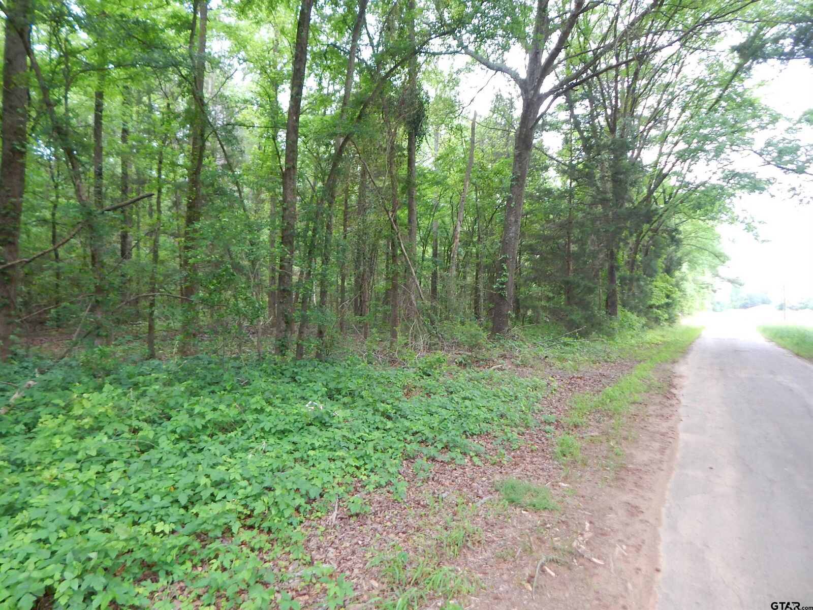 Property Photo: Tbd 3.07 Acre Woodchuck Rd TX 75686