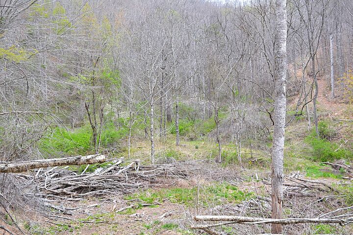 Property Photo:  Snake Run Rd  WV 24910 