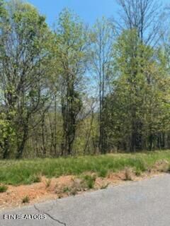 Property Photo:  Lot 548 Marble Point Way  TN 37825 