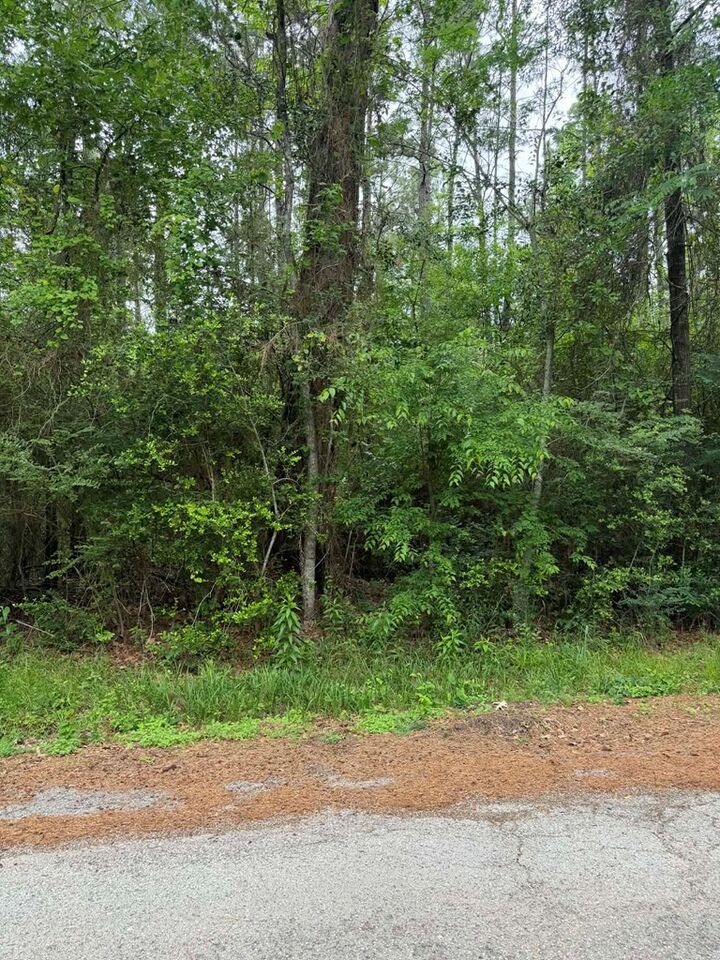 Property Photo:  Lot 5 Old Gobblers Knob Rd  TX 75901 