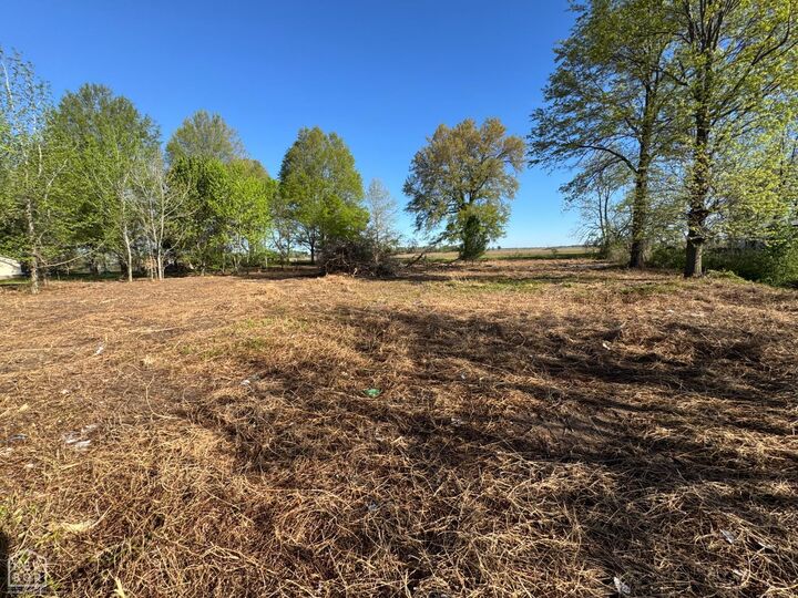 Property Photo:  0 Lot 56 Cr 236  AR 72324 