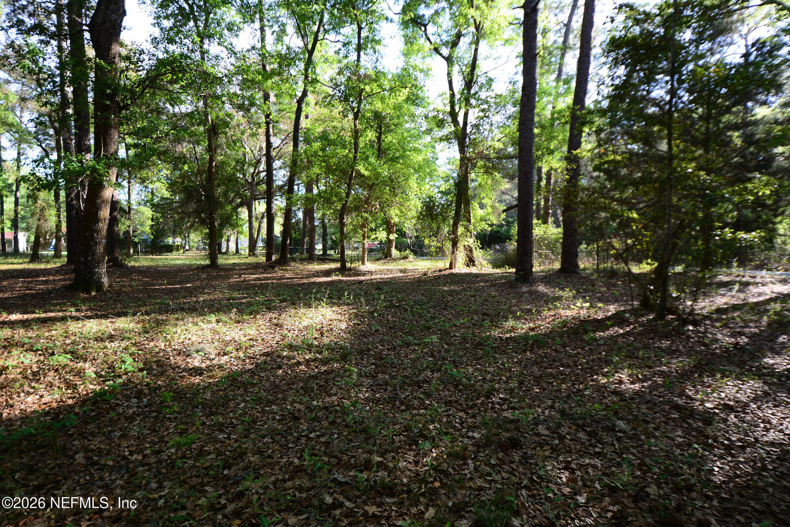 Property Photo: Parcel 6 Peeples Road FL 32097