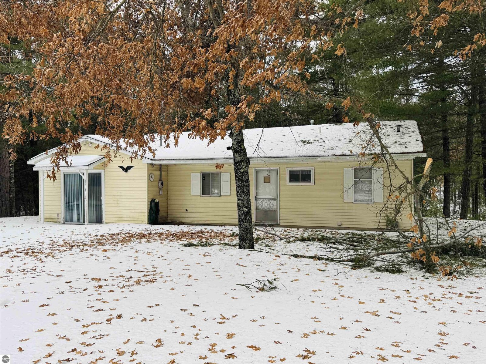 Property Photo:  10986 Gillow Road SE  MI 49633 