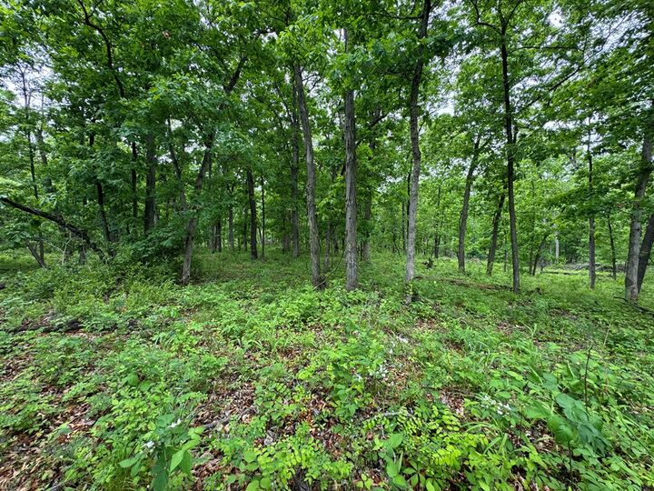 Property Photo: Xxx State Highway A & Cardinal Way MO 63546