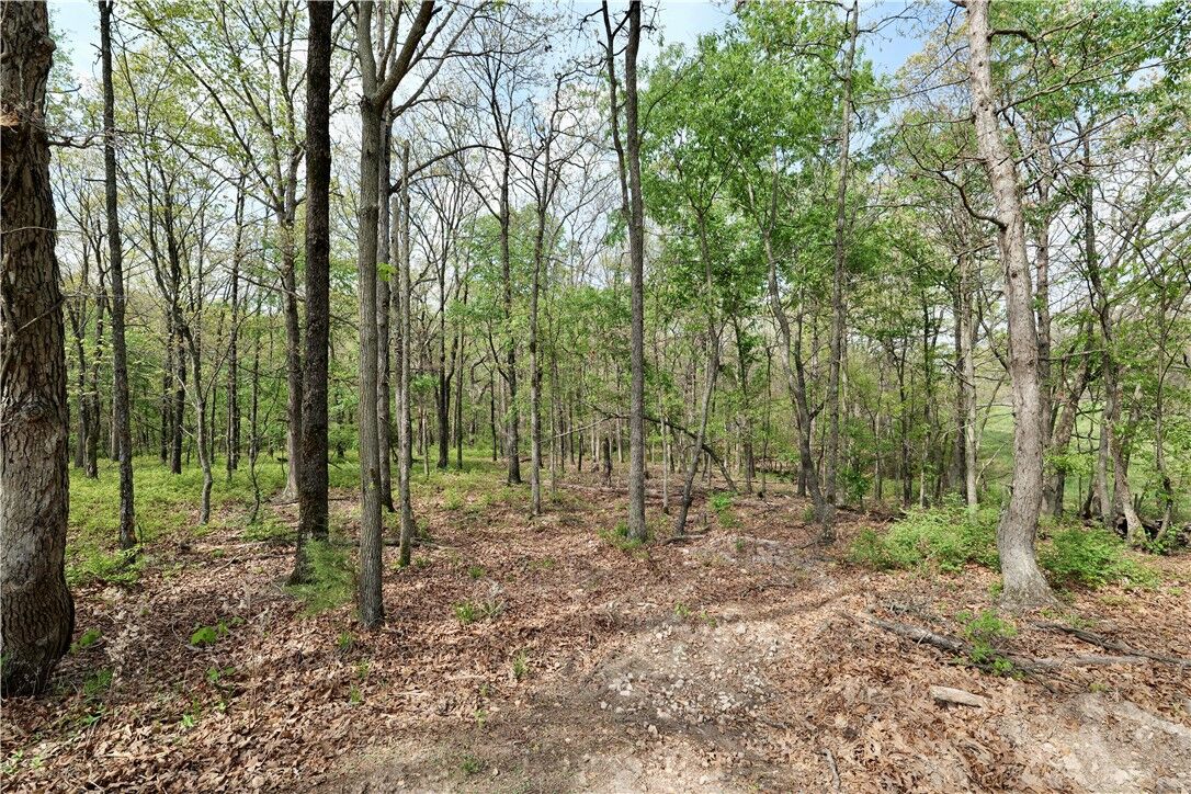 Property Photo: Tbd Hummingbird Road AR 72736