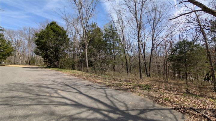 Property Photo: Lot 40 Waveney Lane AR 72715