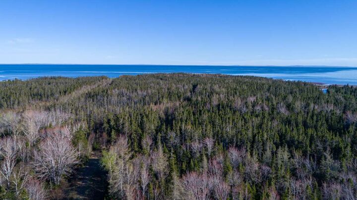 Property Photo:  Acreage Shore Road  PE C0A 1B0 