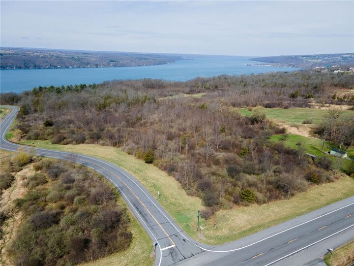 Property Photo:  0 Blackchin Boulevard  NY 14850 