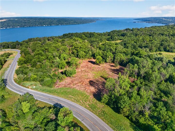 Property Photo:  0 Blackchin Boulevard  NY 14850 