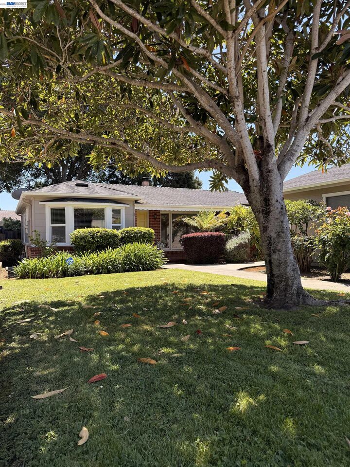 Property Photo:  4275 Heyer Ave  CA 94546 