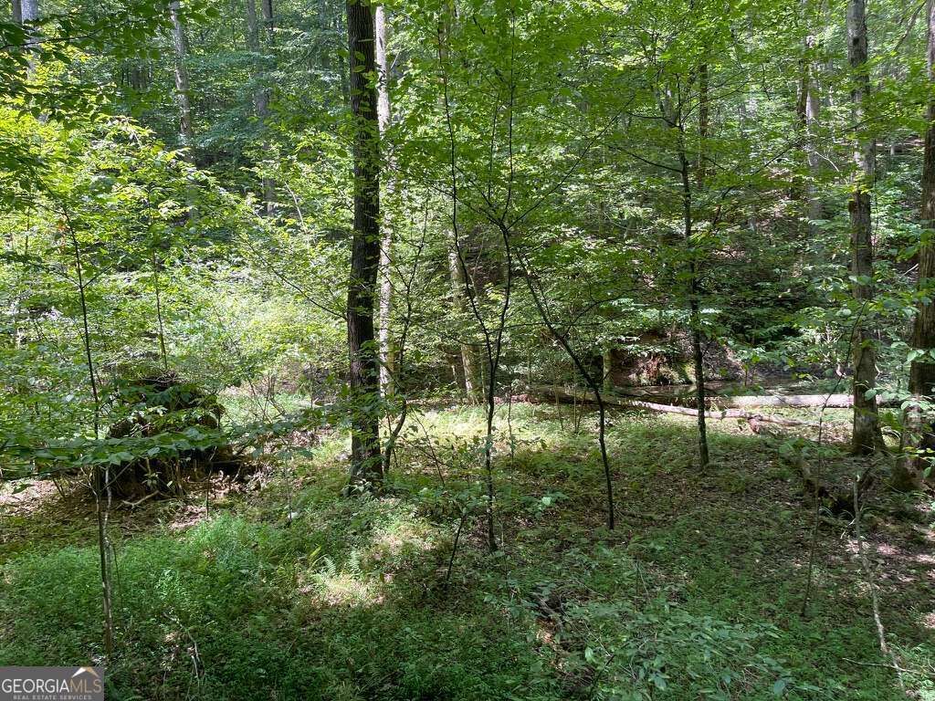 Property Photo:  Lot 223 Bowline Drive 223  GA 30540 