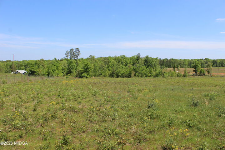 Property Photo:  157 Jordan Bottom Road  GA 31016 