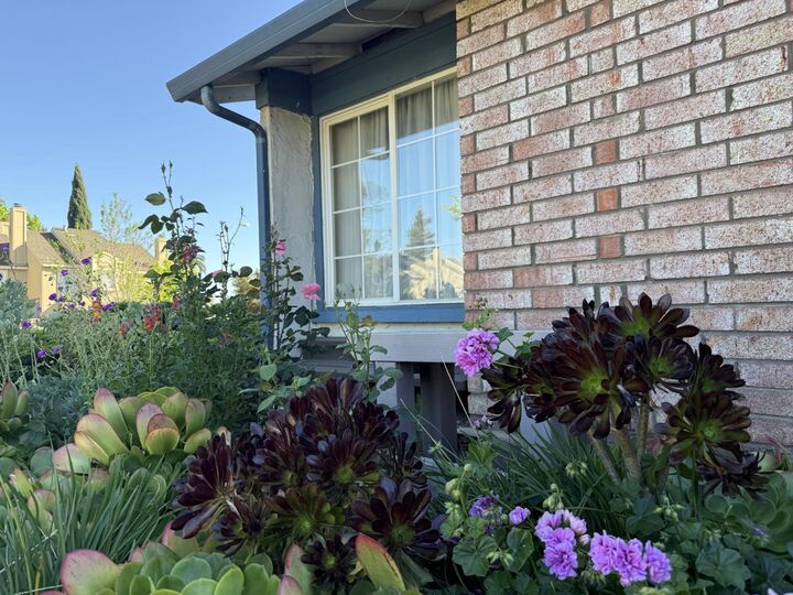 Property Photo:  441 Clogston Court  CA 95133 