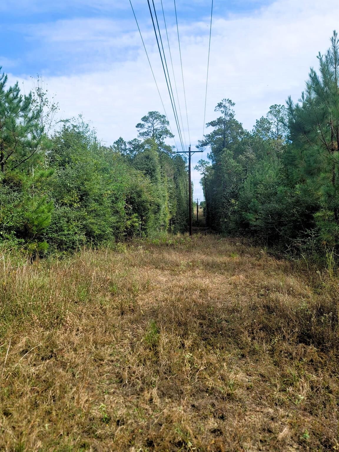 Property Photo:  0000 US Highway 190 E  TX 77351 