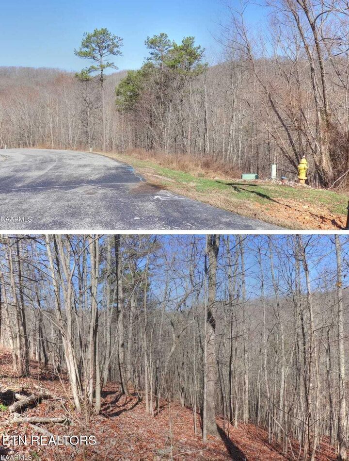 Property Photo:  #12 Emerald Pointe Circle Circle  TN 37854 