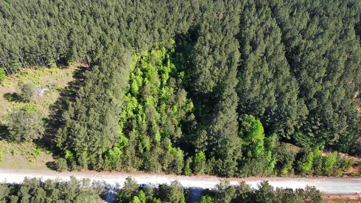 Property Photo:  104 Lisa Woods Lane  GA 31024-0000 