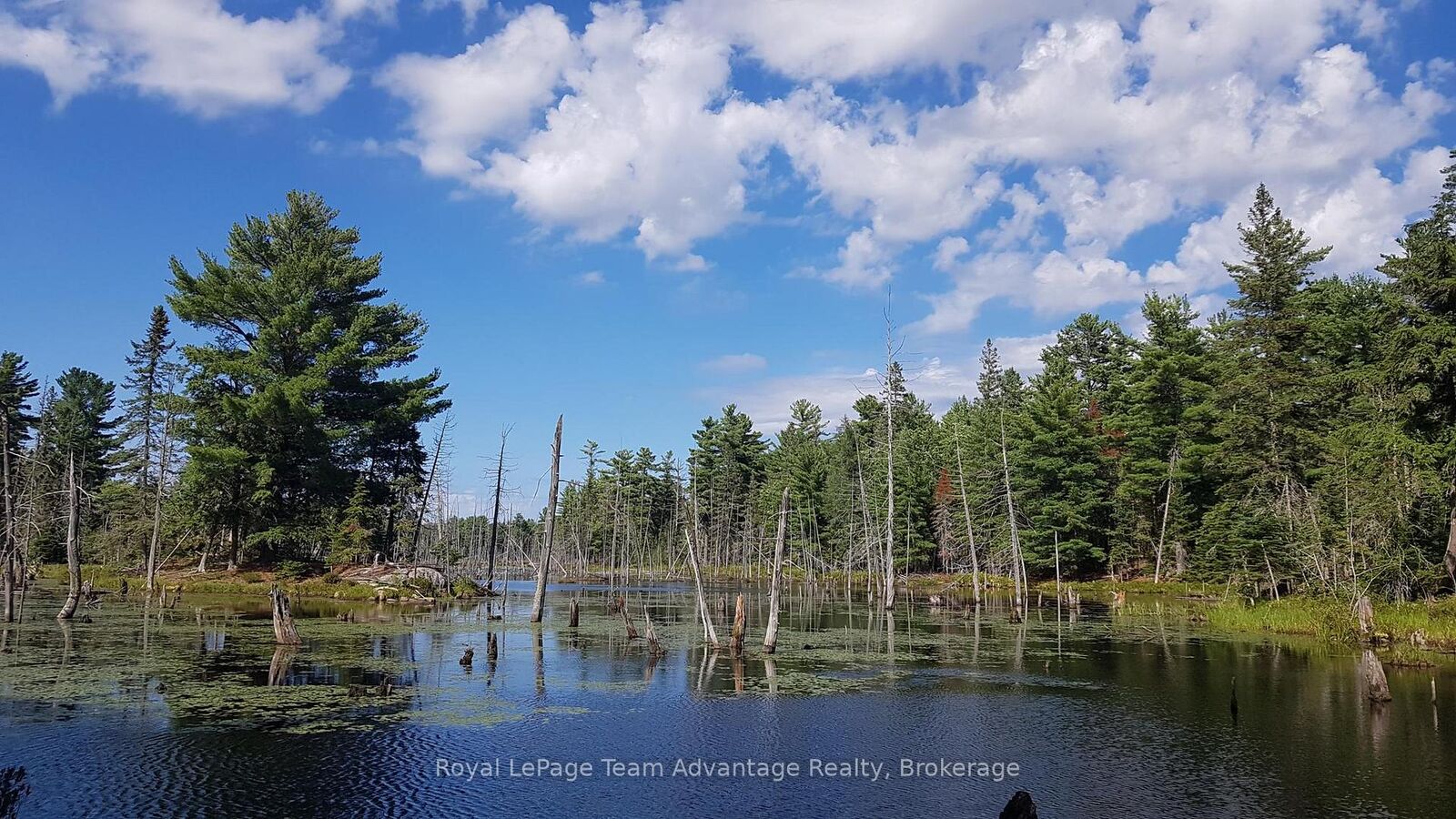 Property Photo: 0 Unopened Road Allowance Road ON P2A 2W7