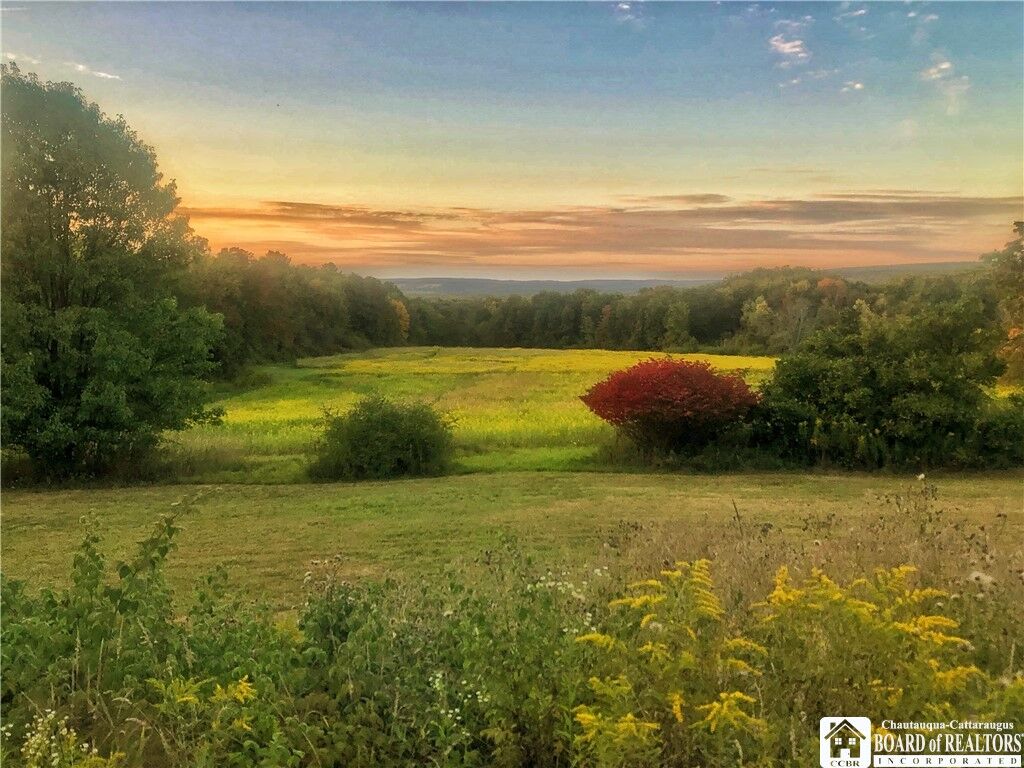 Property Photo:  1004 Wigren Road  NY 14738 