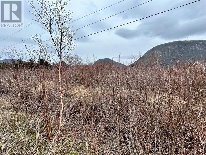 Property Photo:  5 Harbourview Road  NL A0L 1H0 