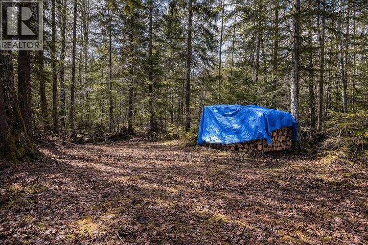Property Photo:  Lot 1 Canim Lake Road  BC V0K 1J0 