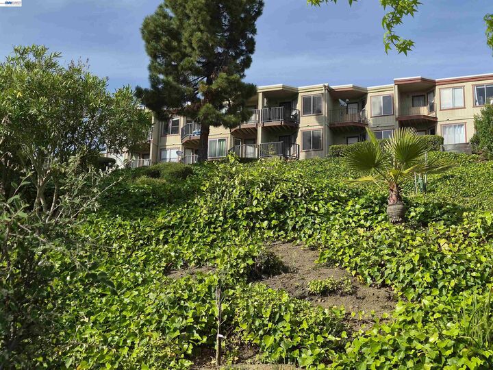 Property Photo:  20980 Birch C  CA 94541 