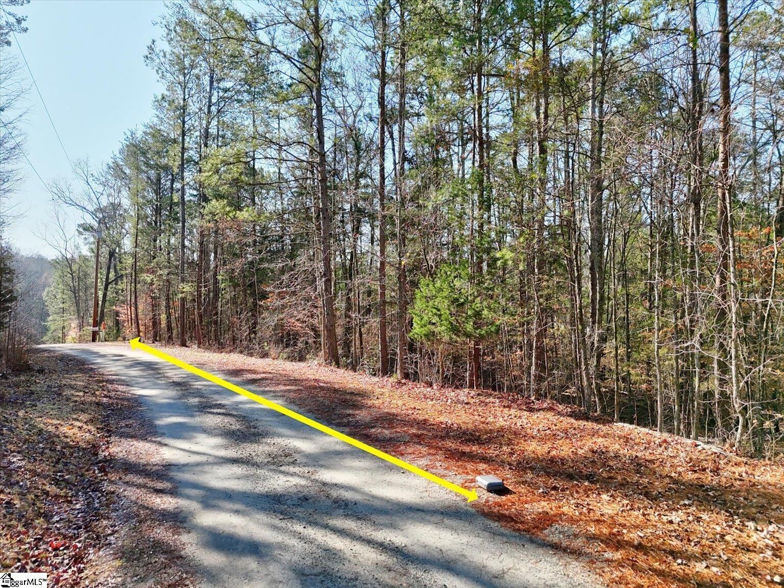 Property Photo:  00 Lake Forest Drive  SC 29620 