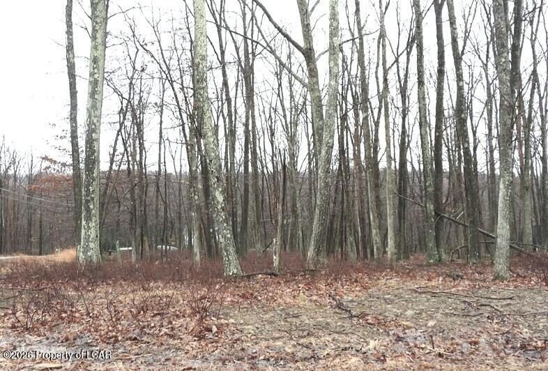 Property Photo: Ws Lot 223 Adobe Way PA 18202