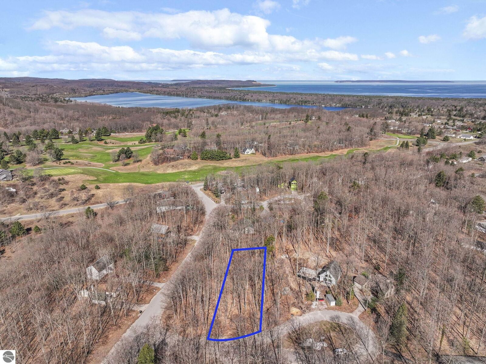 Property Photo: Lot 10 Linden Court MI 49621