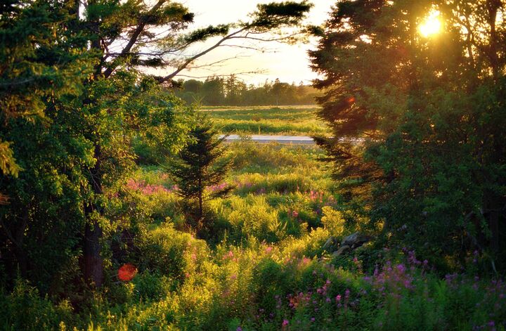 Property Photo: 62 Lake Doucette Road NS B0W 2Y0