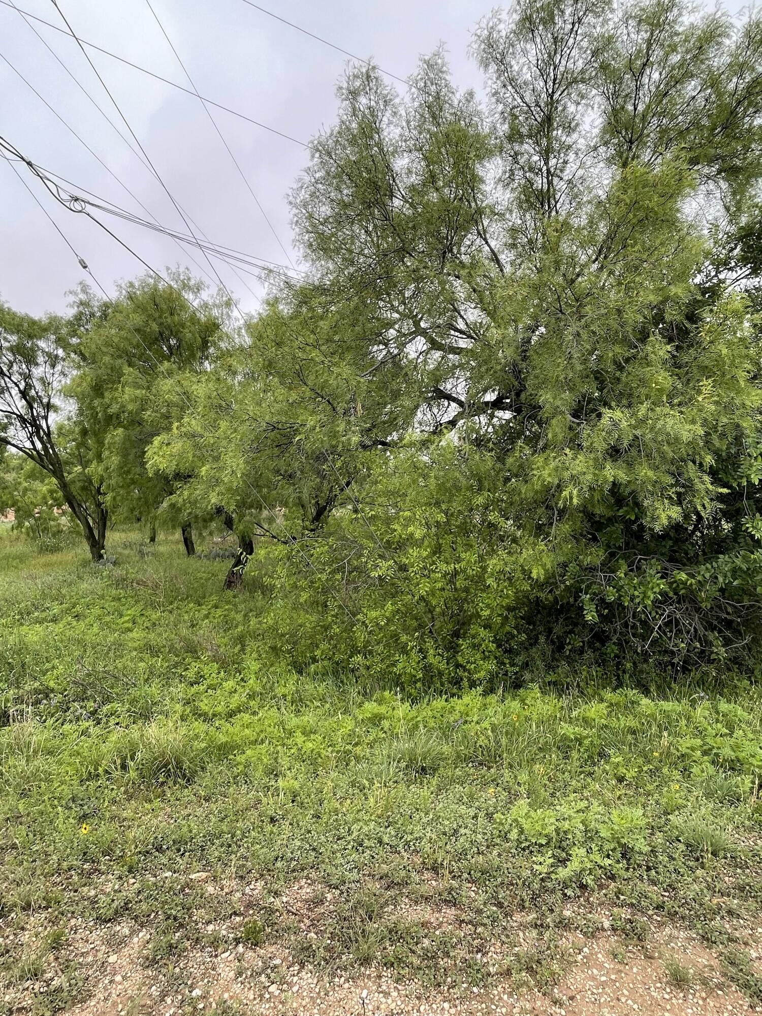 Property Photo:  501 Lake View Heroes Drive  TX 76903 