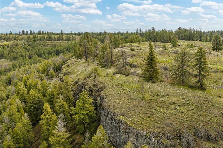 Property Photo:  Tract 231 Hawk Creek  WA 99122 