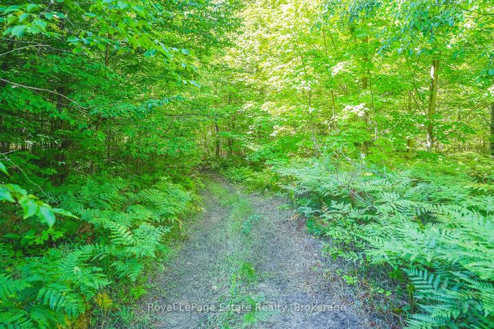 Property Photo:  Lot 5 Sixth Street  ON N0H 2G0 