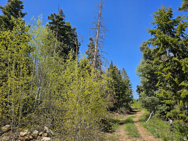 Property Photo: 27 Pine Ridge Rd 27 UT 84647