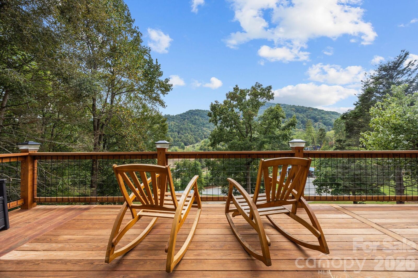 Property Photo:  263 Morgan Branch Road 1  NC 28748 