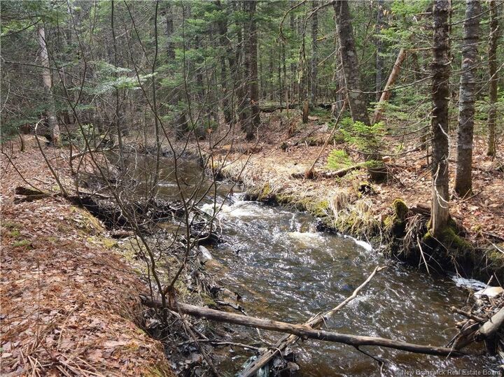 Property Photo: Lot 25-1 Niagara Road NB E1J 1S4
