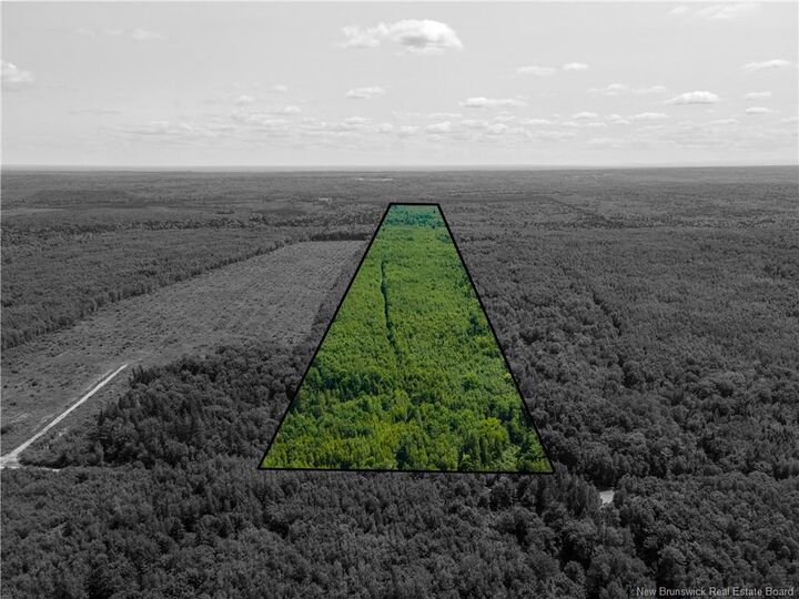 Lot 53 Alexandrina Road — photo 1