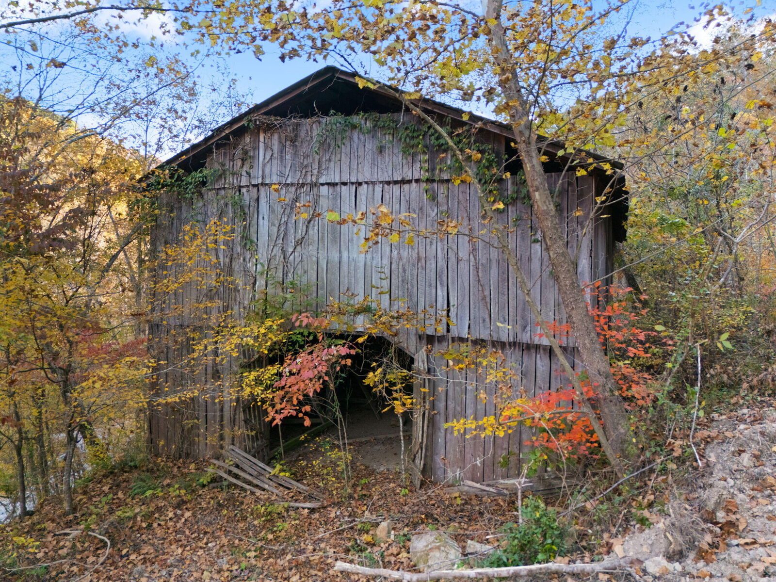Property Photo:  9992 S Ky-11  KY 40962 